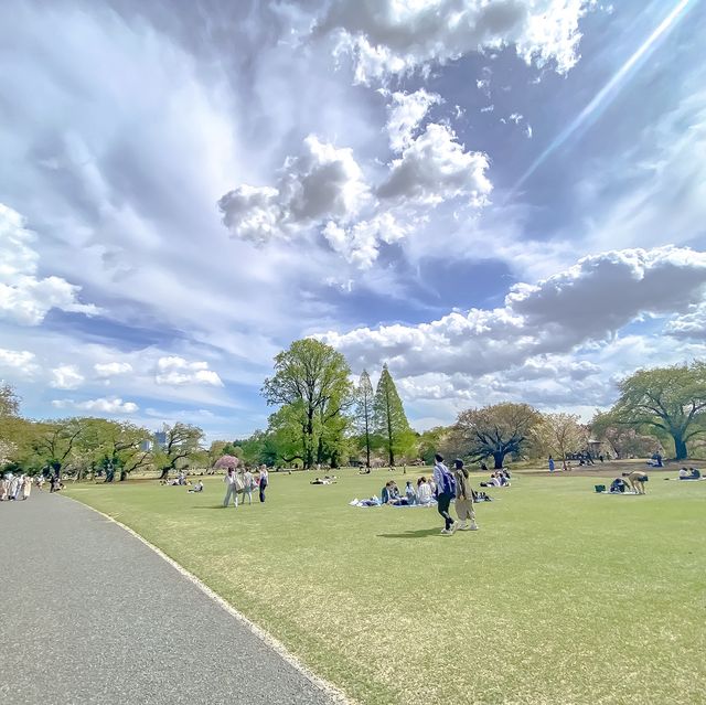 春の新宿御苑散歩