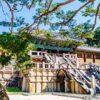 경주여행 불국사 다보탑, 겹벚꽃