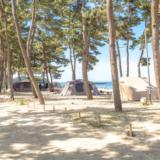 여름엔 자리가 없어서 못 간다는 캠핑장🏕