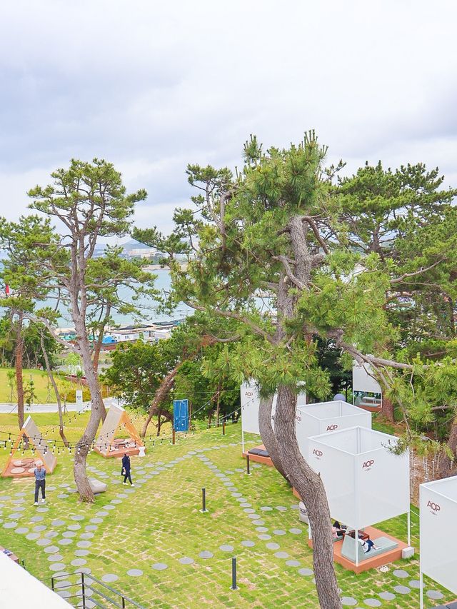오션뷰와 마운틴뷰를 모두 잡고 싶다면, 에이오피(AOP)