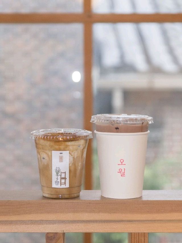 강릉 명주동 카페 추천, 오월커피