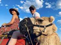 Sunset Camel Ride in Uluru ♥️