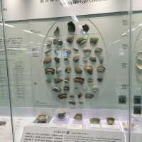 宋王臺出土宋元文物展
