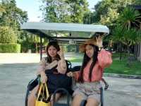 วังนกแก้ว พาร์ค วิว รีสอร์ท (Wangnokkaew Park View
