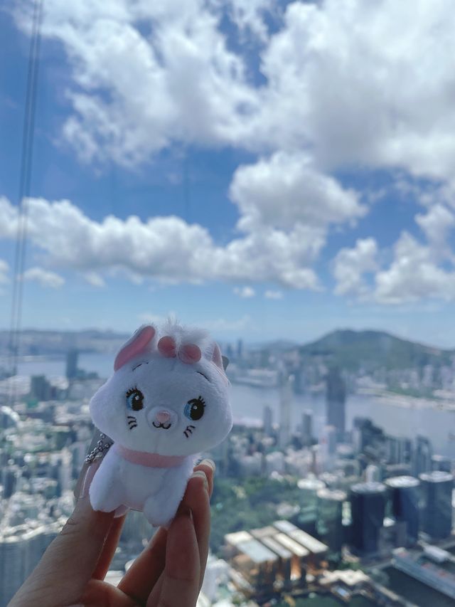 第一次到訪天際100