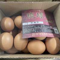 『アグリハウスこちんだ』が最高に面白い‼️