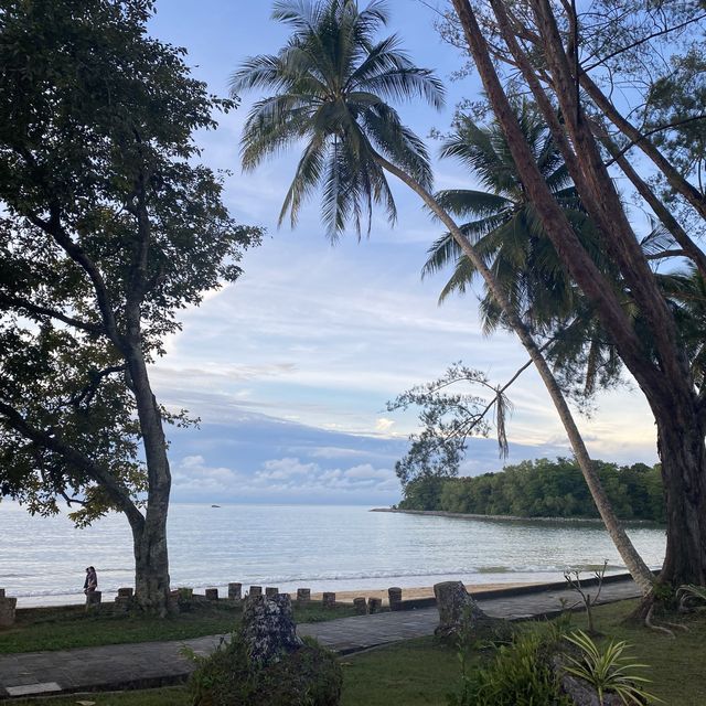vitamin sea 