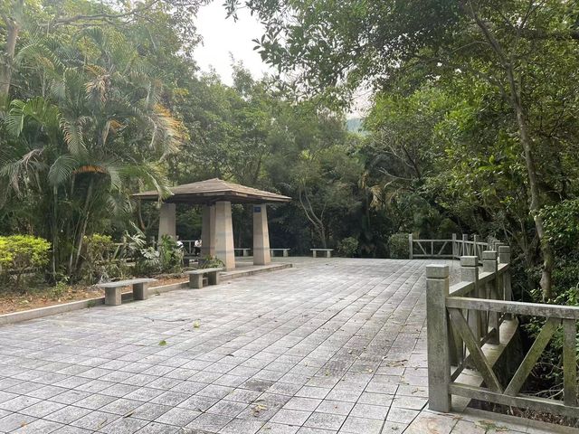 [深圳］鳳凰山遠足好去處