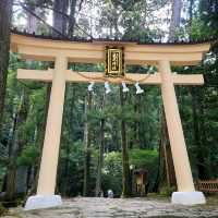 世界遺産【那智御瀧】✨