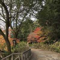 🇯🇵 參觀戰國名將的邸宅 — 岐阜公園及百曲登山道
