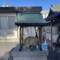 【京都府】永遠の美を授かれる美人神社を参拝！
