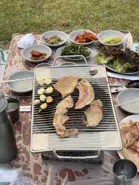 < 남양주 맛집 > 잔디밭 돗자리 위에서 먹는 멧돼지 고기, 금남 멧돼지 🏕️