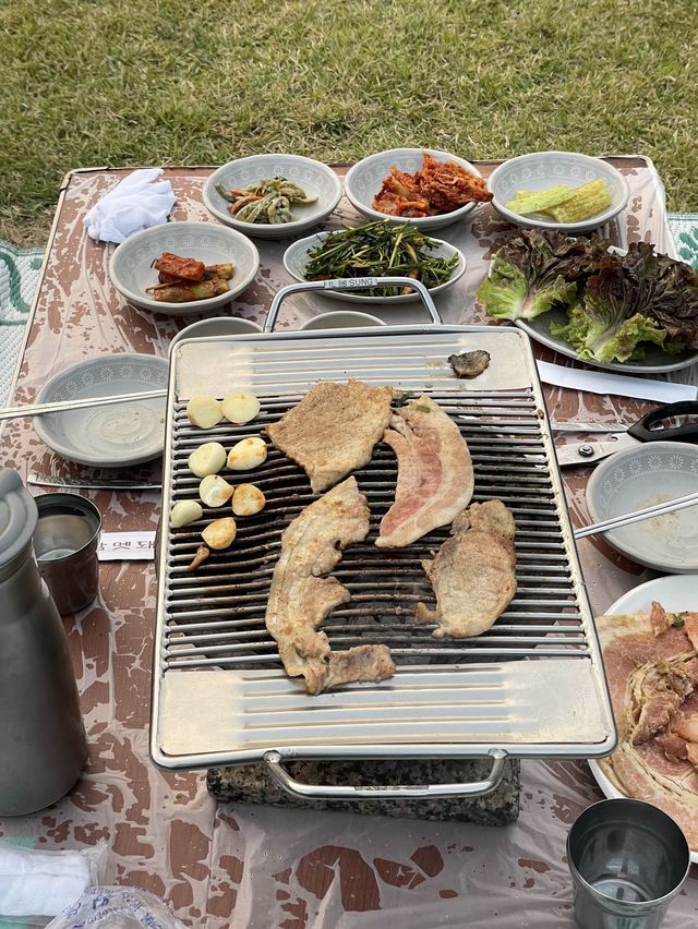 < 남양주 맛집 > 잔디밭 돗자리 위에서 먹는 멧돼지 고기, 금남 멧돼지 🏕️