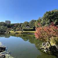 名古屋 楓葉下 的白鳥庭園🍁🍁