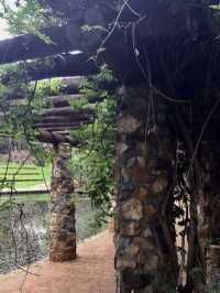 beautiful garden in Perth WA