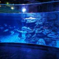 Aquaria Phuket 
