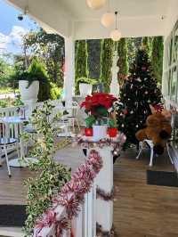 ร้านกาแฟ  สวนสน cafe  ที่แม่แตงเชียงใหม่