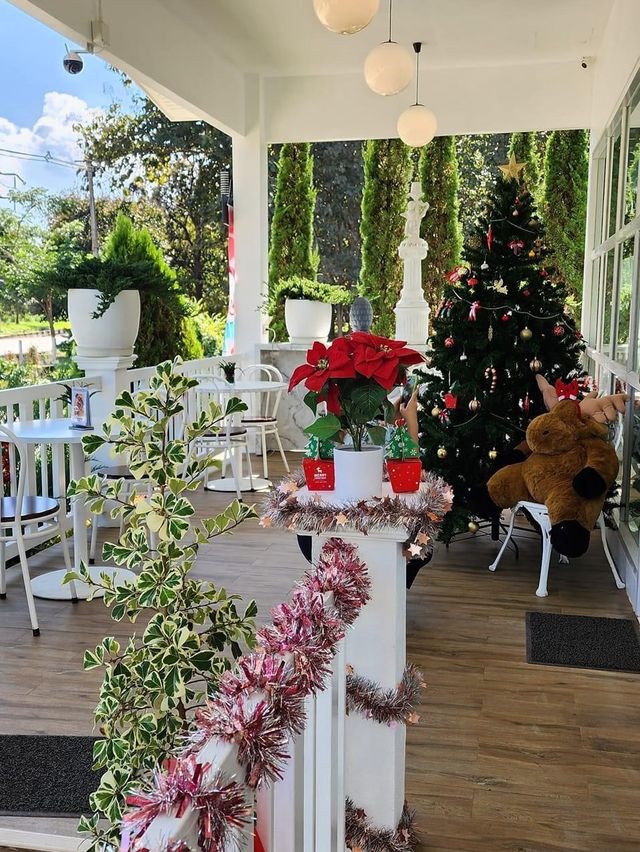 ร้านกาแฟ  สวนสน cafe  ที่แม่แตงเชียงใหม่