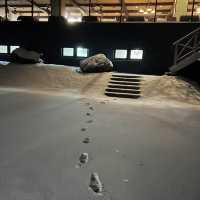 北海道旅館之旅