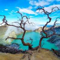  Ijen, East Java