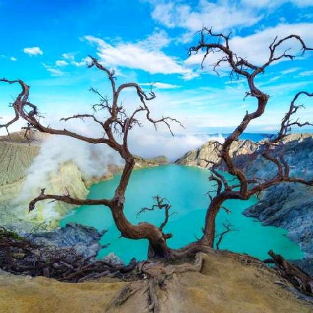  Ijen, East Java