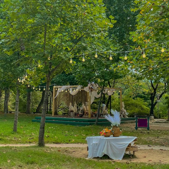 완전 힐링여행! 담양 죽녹원🎋
