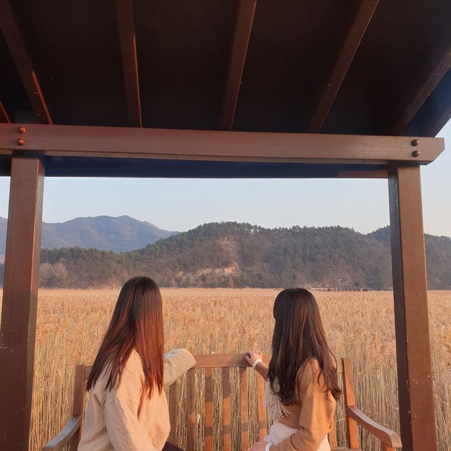 순천ㅣ순천가면 꼭 가봐야 할 인생 사진 맛집, 순천만습지🍂 