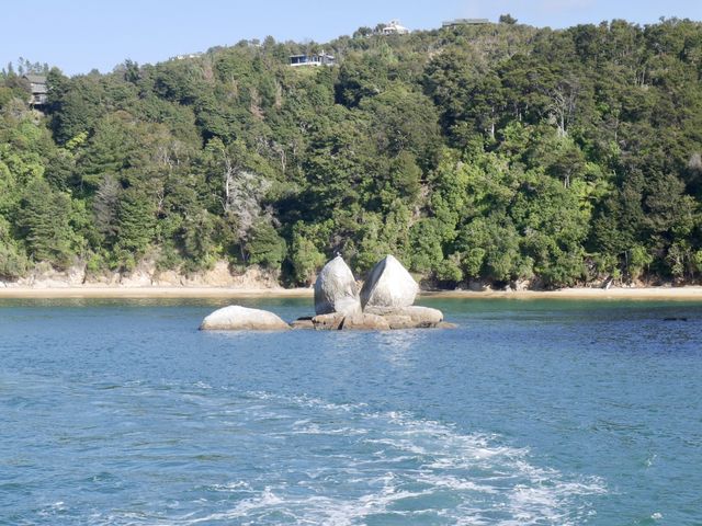 One GREAT National Park in New Zealand! 