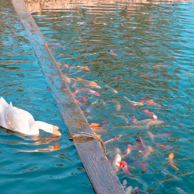 เที่ยวสวนสัตว์ Exotic Pets ที่ขอนแก่น