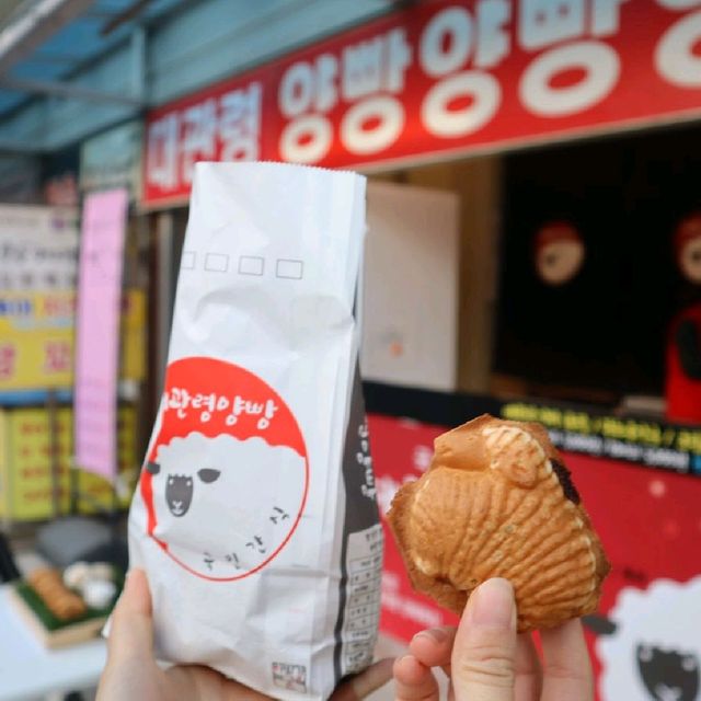 강원도 평창 한국의 알프스 '대관령 양떼목장'