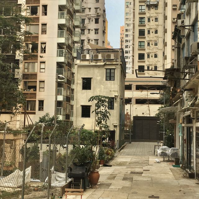 中上環散策