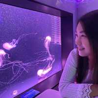 《我與水母有個約會💕》