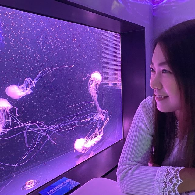 《我與水母有個約會💕》