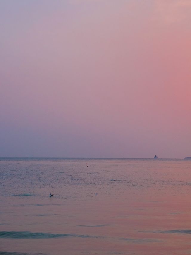 일몰 맛집 대천해수욕장🌊