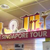 Singapore Tour