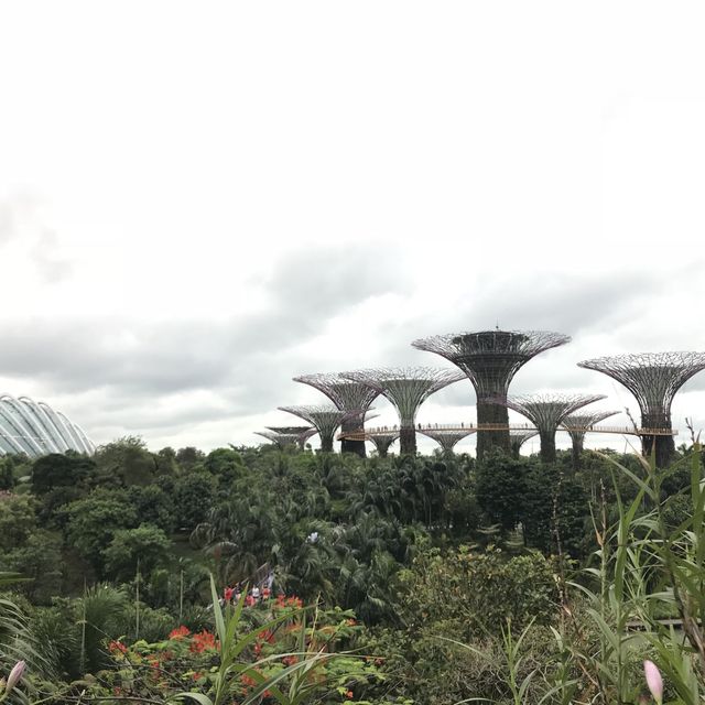 衝出香港🇭🇰開關必去新加坡🇸🇬濱海灣