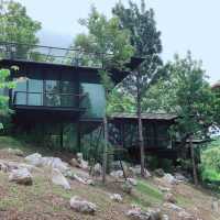 The Paz Khaoyai โรงเเรมหรูเขาใหญ่ 