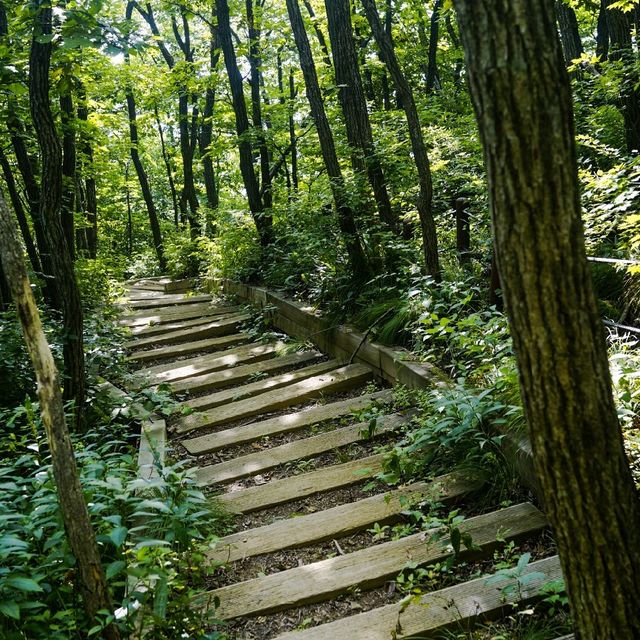치악산 등산