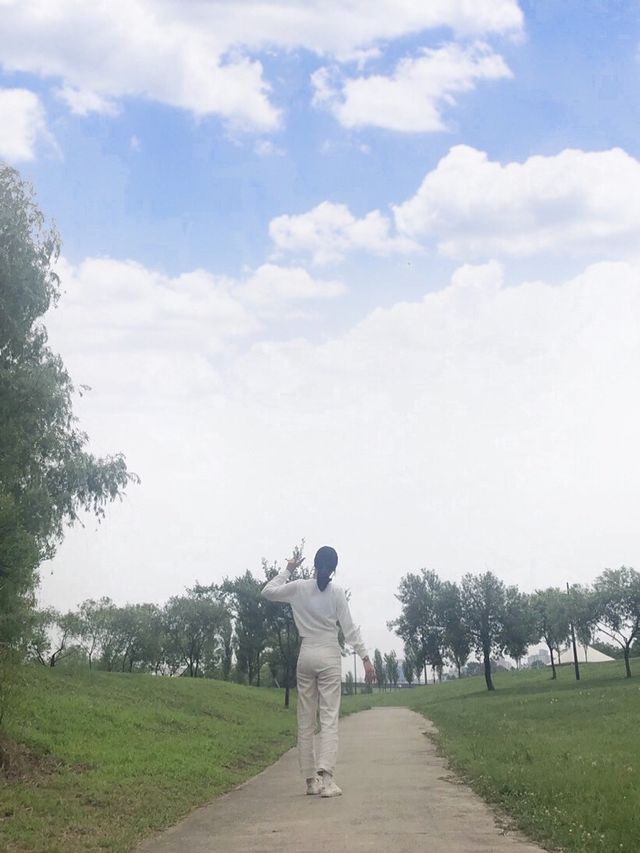 피크닉 가기 좋은 선유도 공원❣️
