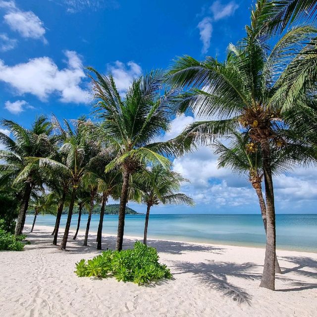 푸꾸옥에서 제일 관리 잘 되고 조용한 해수욕장, 켐비치🏖