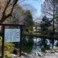 【静岡県】富士山をバックに富士山本宮浅間大社を参拝⛩