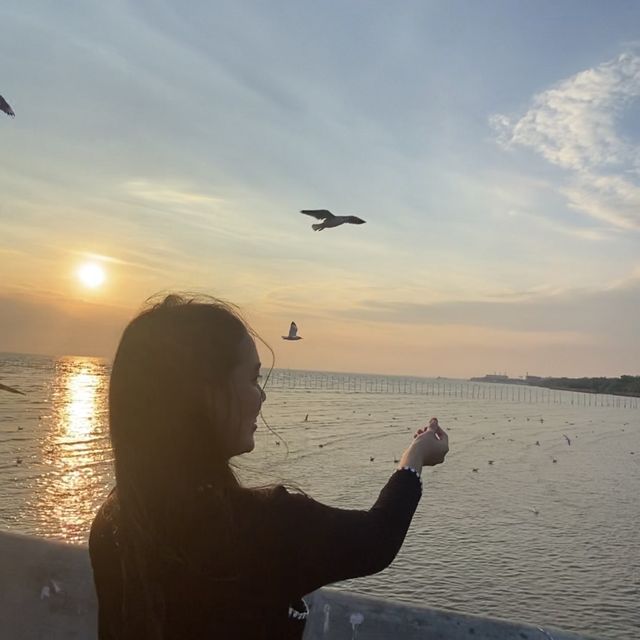 สถานตากอากาศบางปู@สมุทรปราการ 