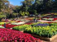สวนแม่ฟ้าหลวง ดอยตุง เชียงราย