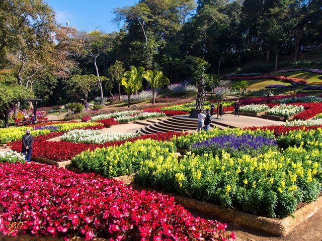 สวนแม่ฟ้าหลวง ดอยตุง เชียงราย