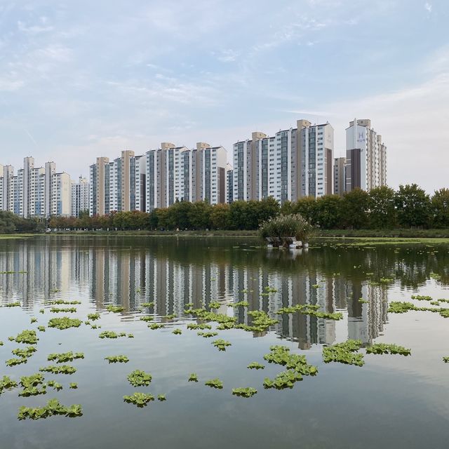 The autumn view of Ilwol park