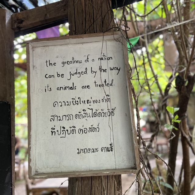 ปั้นแก้วเซรามิกที่คำมีสตูดิโอ