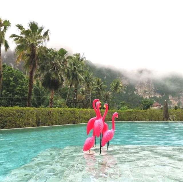 🌊𝐂𝐄𝐍𝐓𝐀𝐑𝐀 𝐏𝐡𝐮 𝐏𝐚𝐧𝐨 🏖 𝐊𝐫𝐚𝐛𝐢