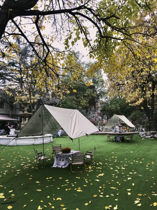 Perfect place for afternoon tea 