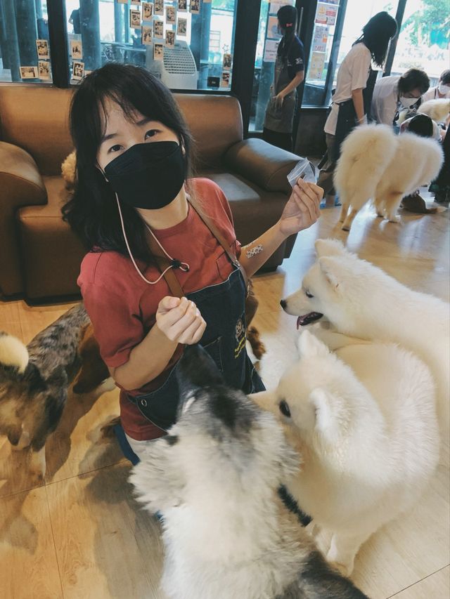 Dog Country Cafe สนุก ไม่จำกัดเวลา
