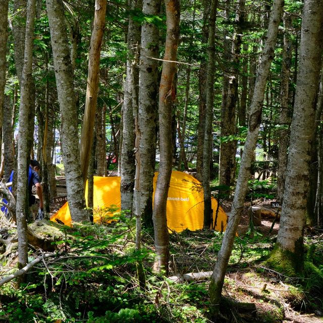 大弛小屋のテント場